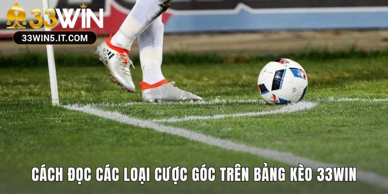 Giải thích các loại cược góc phổ biến từ Tài Xỉu đến Chấp