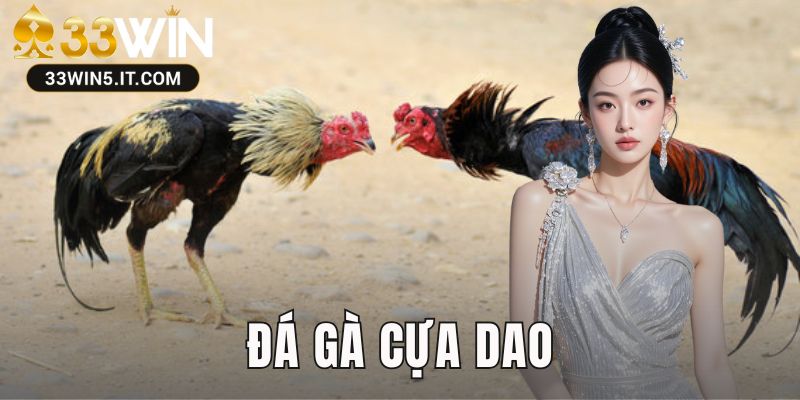 Đá Gà Cựa Dao