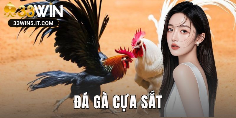 đá gà cựa sắt
