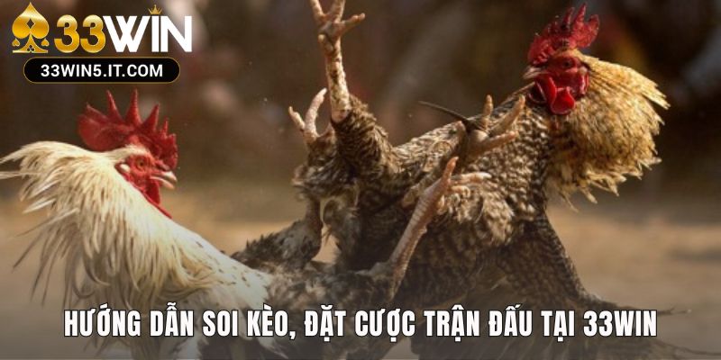 Phương pháp soi kèo chuẩn xác để cá cược hiệu quả