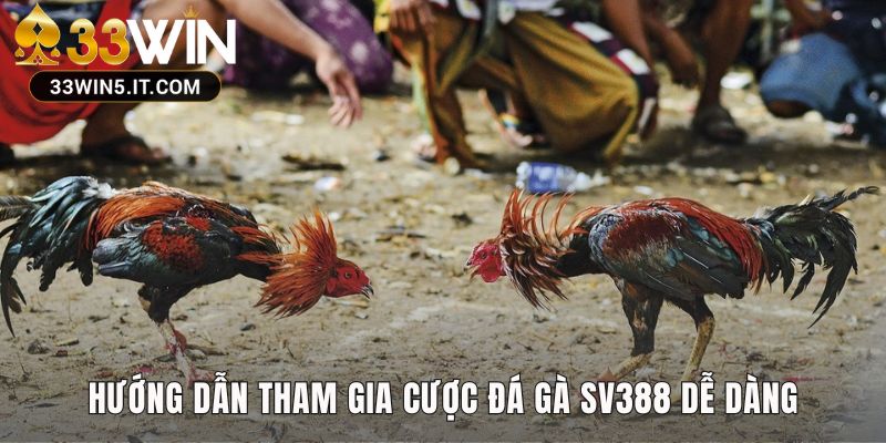 Hướng dẫn tham gia đá gà trực tiếp SV388 qua 5 bước đơn giản