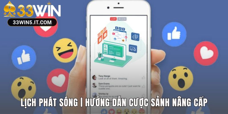 Hướng dẫn cược theo lịch phát sóng cố định của sảnh FB LIVE 32win