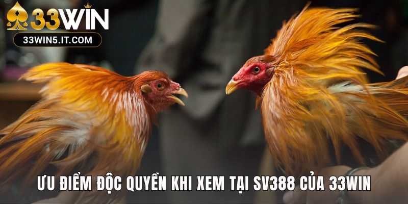 Ưu điểm SV388 thể hiện qua tốc độ trả thưởng tự động 30 giây